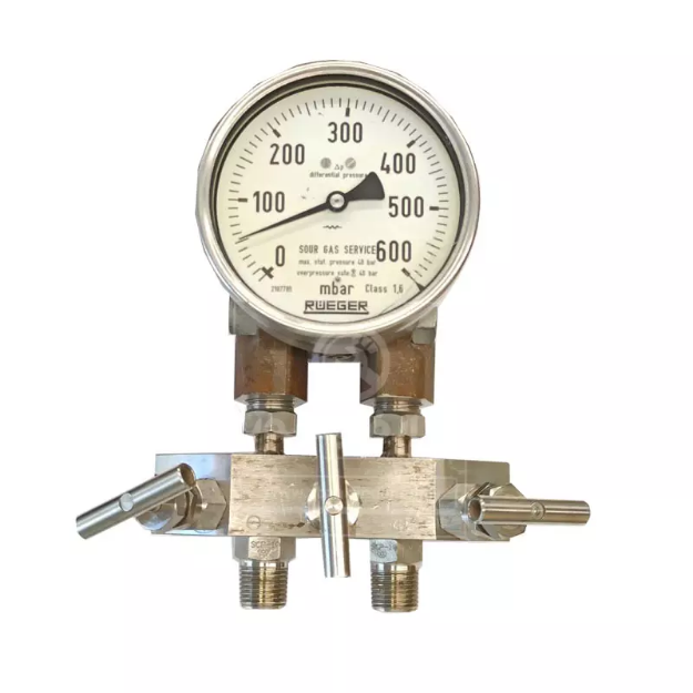 گیج اختلاف فشار همراه با منیفولد روگر Rueger رنج 600 میلی بار